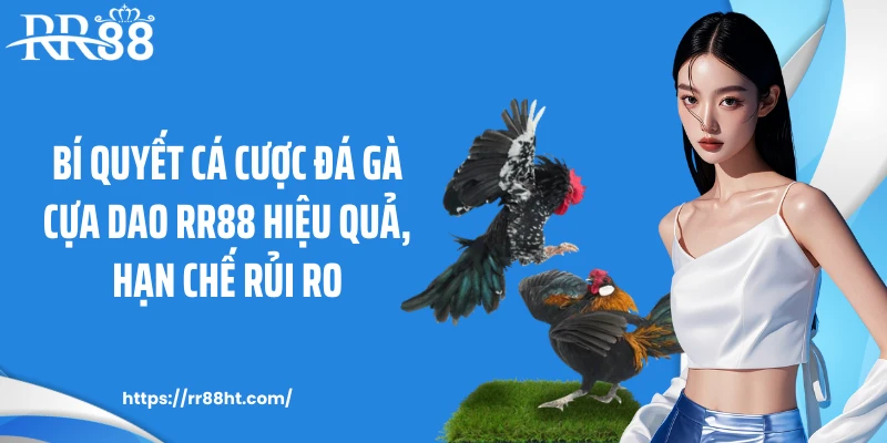 Bí quyết cá cược đá gà cựa dao RR88 hiệu quả, hạn chế rủi ro
