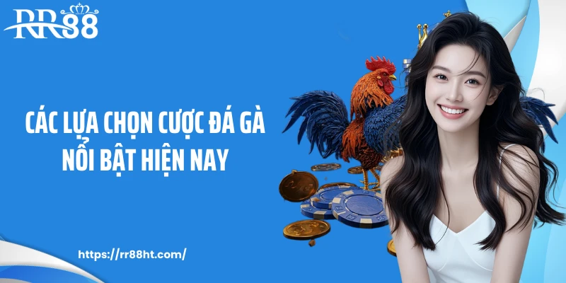 Các lựa chọn cược đá gà nổi bật hiện nay