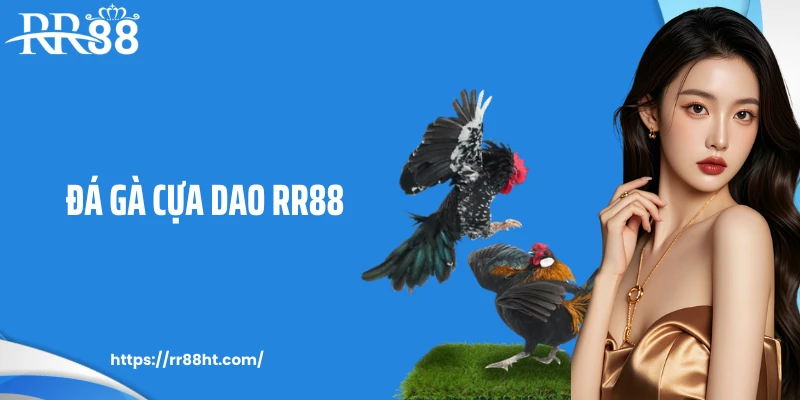 Đá Gà Cựa Dao RR88: Sức Hút Mạnh Mẽ Của Các Trận Đấu Kê
