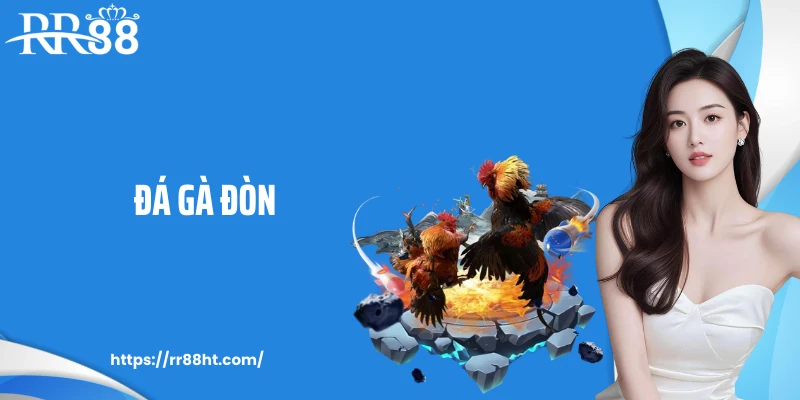 Đá Gà Đòn: Sàn Đấu Kê Gay Cấn Và Mạnh Mẽ Tại RR88