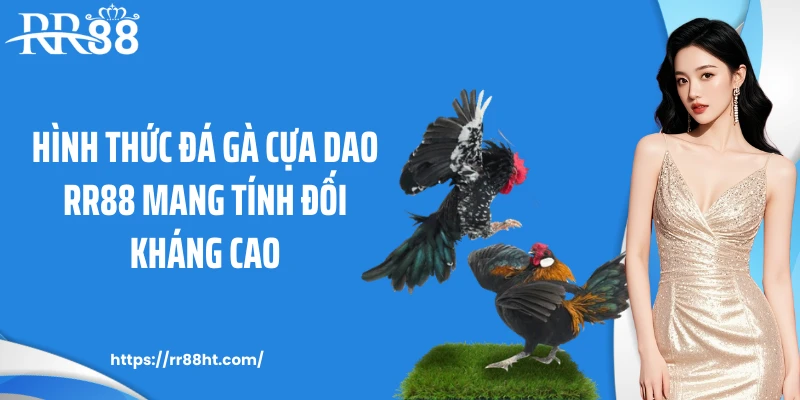 Hình thức đá gà cựa dao RR88 mang tính đối kháng cao