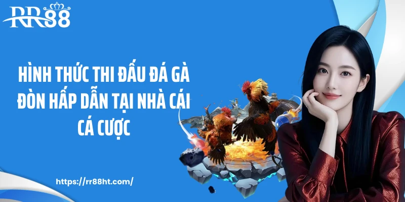 Hình thức thi đấu đá gà đòn hấp dẫn tại nhà cái cá cược