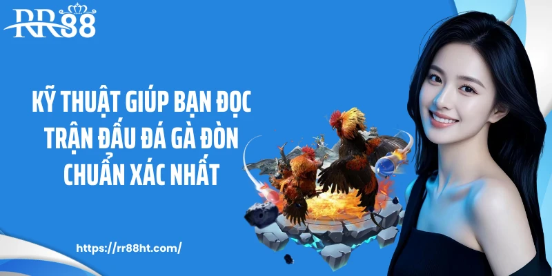 Kỹ thuật giúp bạn đọc trận đấu đá gà đòn chuẩn xác nhất